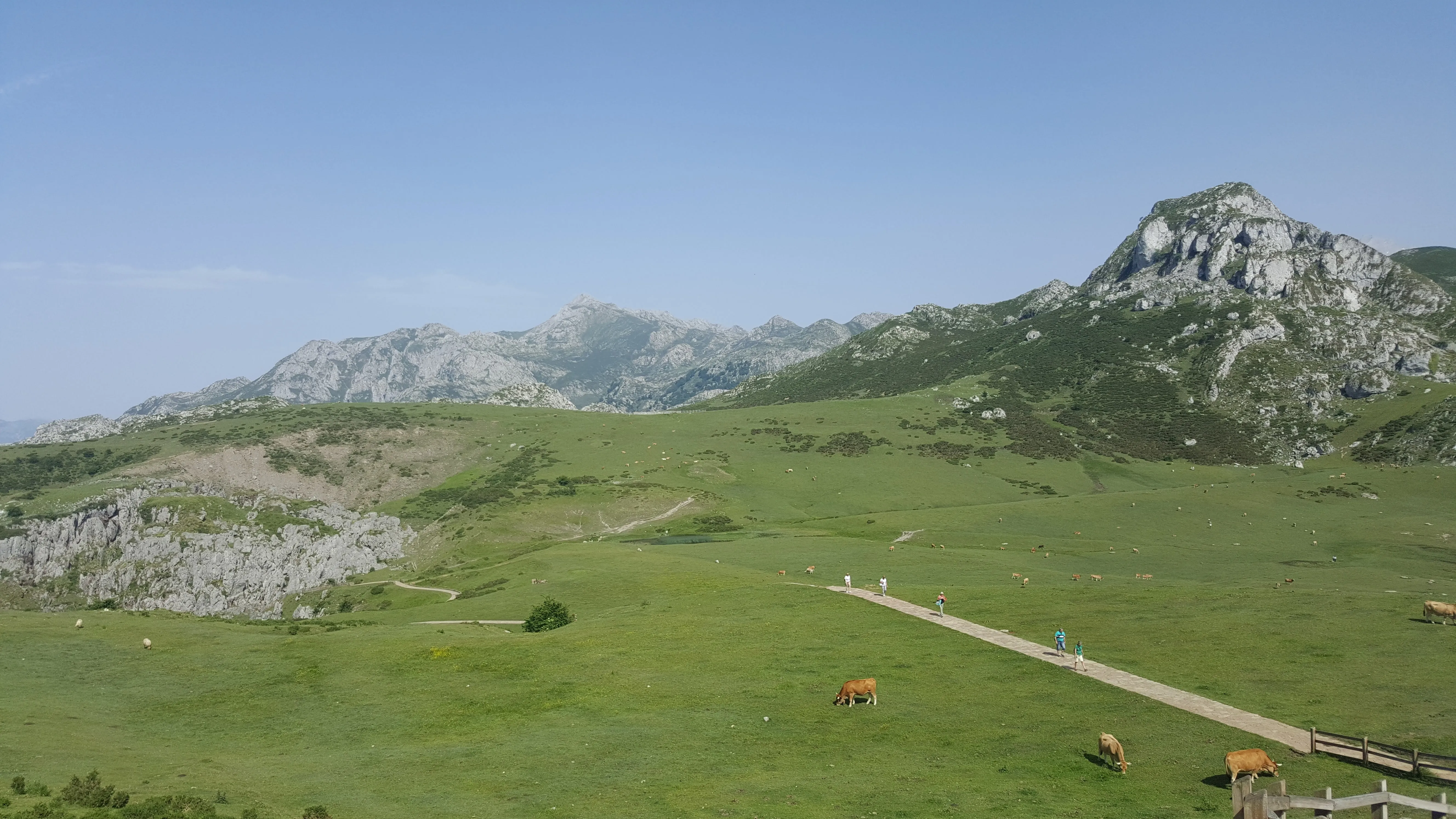 Pradera verde con vistas a los Picos de Europa en Asturias
